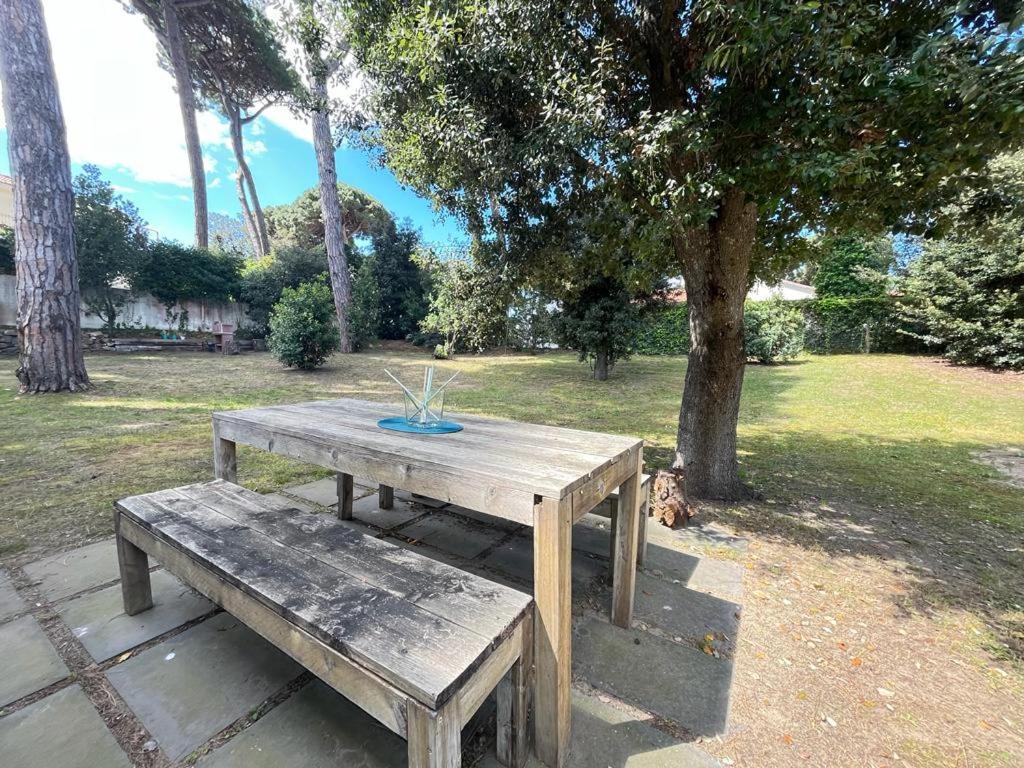 Pineta Apartament Tirrenia Extérieur photo