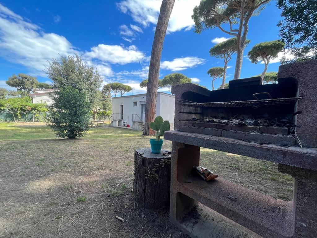 Pineta Apartament Tirrenia Extérieur photo
